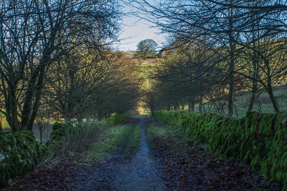 Narrowdale Narrowdale